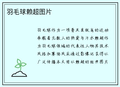 羽毛球赖超图片